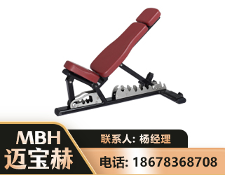 贵港可调哑铃椅